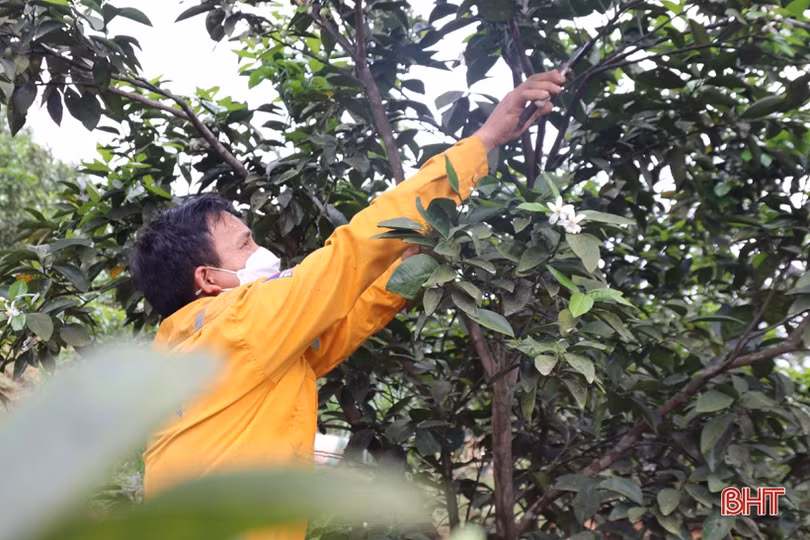 “Sân chơi” bổ ích cho người dân miền núi Vũ Quang