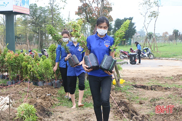 TP Hà Tĩnh trồng bổ sung cây xanh, tạo cảnh quan đô thị sạch - đẹp