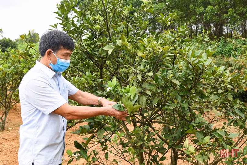 Sôi nổi sinh hoạt chi bộ chuyên đề, Kỳ Anh đưa việc học và làm theo Bác vào thực tiễn