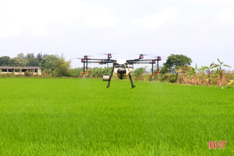 Máy bay không người lái phun thuốc trừ đạo ôn tại Thạch Hà