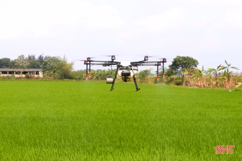 Máy bay không người lái phun thuốc trừ đạo ôn tại Thạch Hà