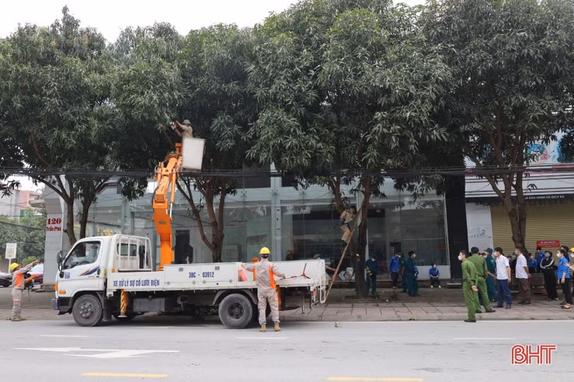 Ra quân cắt tỉa cây xanh, chỉnh trang đô thị tuyến đường Nguyễn Du