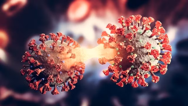 Nhận định mới nhất về biến thể lai Deltacron