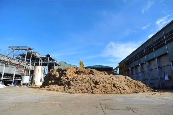 Doanh nghiệp Đồng Nai đề xuất nghiên cứu xây dựng nhà máy điện sinh khối tại Hà Tĩnh