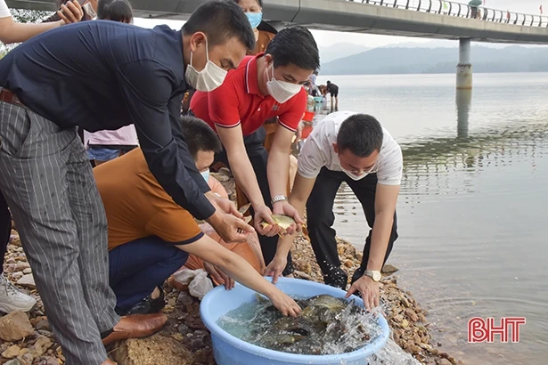 Thả gần 1,3 tấn cá tái tạo nguồn lợi thuỷ sản hồ Kẻ Gỗ