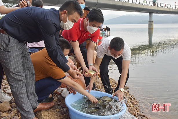 Thả gần 1,3 tấn cá tái tạo nguồn lợi thuỷ sản hồ Kẻ Gỗ
