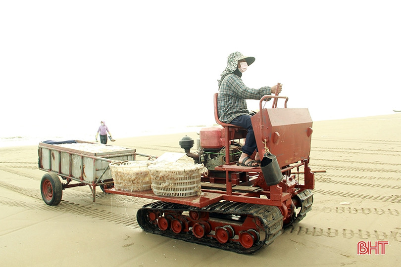 Ngư dân Nghi Xuân vào mùa đánh bắt sứa