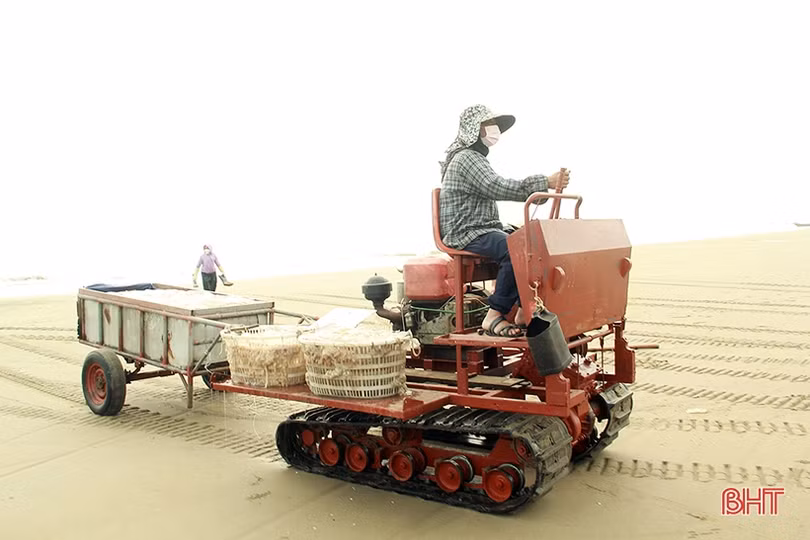 Ngư dân Nghi Xuân vào mùa đánh bắt sứa