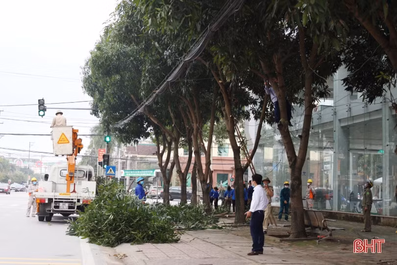 Ra quân cắt tỉa cây xanh, chỉnh trang đô thị tuyến đường Nguyễn Du