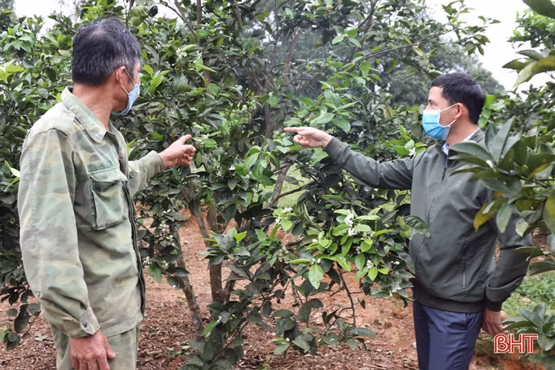 “Sân chơi” bổ ích cho người dân miền núi Vũ Quang