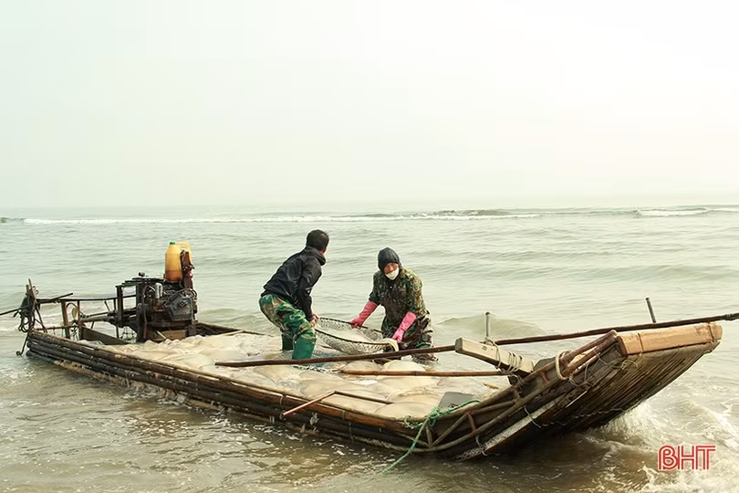 Ngư dân Nghi Xuân vào mùa đánh bắt sứa