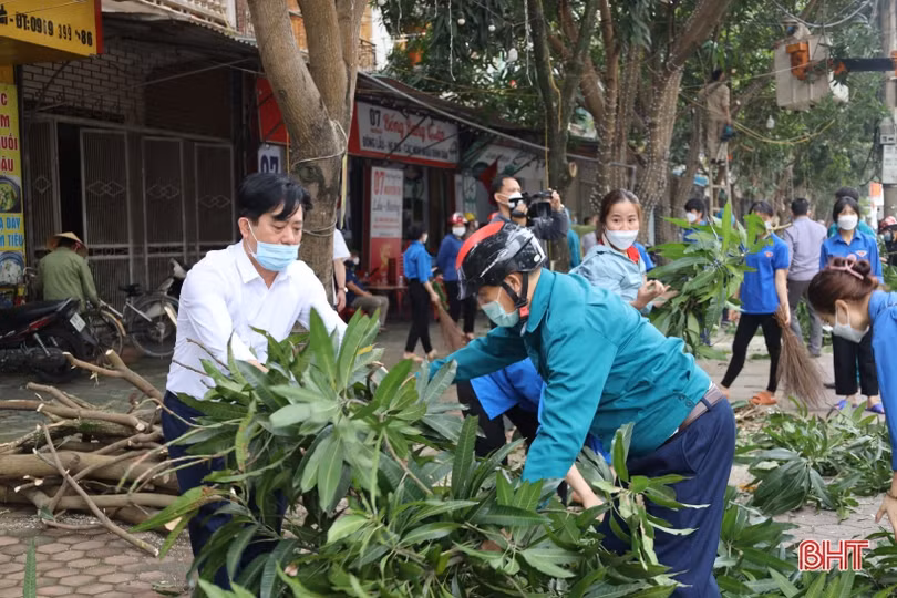 Ra quân cắt tỉa cây xanh, chỉnh trang đô thị tuyến đường Nguyễn Du