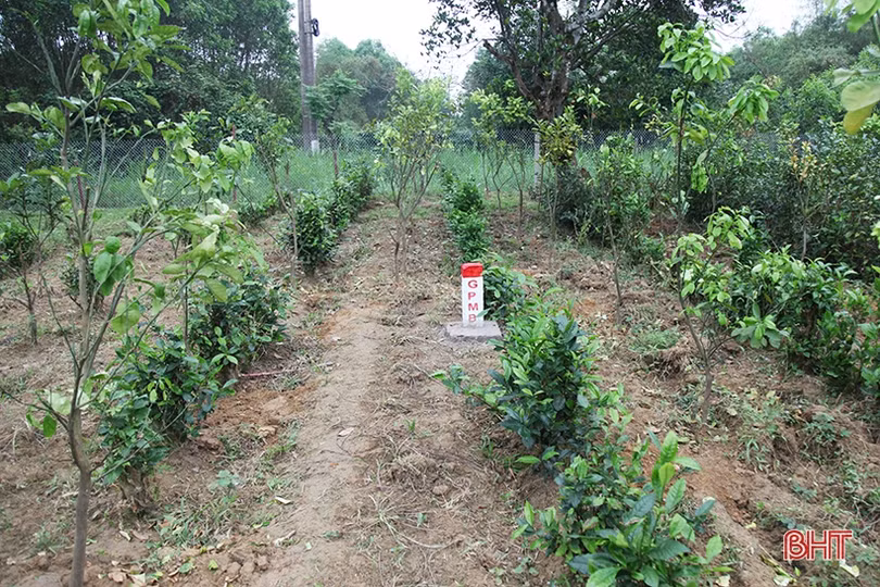 Tích cực tuyên truyền, ngăn chặn tình trạng xây dựng trái phép chờ đền bù dự án cao tốc Bắc – Nam