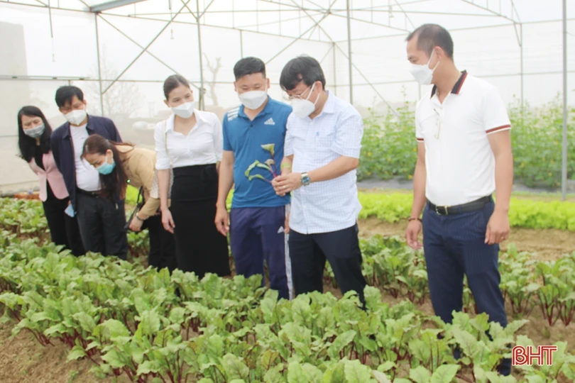 Tuyên truyền, nhân rộng các mô hình sản xuất nông nghiệp công nghệ cao tại TP Hà Tĩnh
