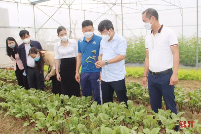 Tuyên truyền, nhân rộng các mô hình sản xuất nông nghiệp công nghệ cao tại TP Hà Tĩnh