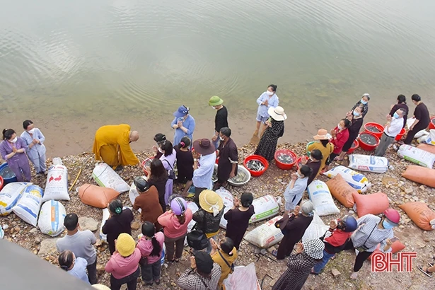 Thả gần 1,3 tấn cá tái tạo nguồn lợi thuỷ sản hồ Kẻ Gỗ