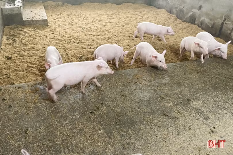 “Sân chơi” bổ ích cho người dân miền núi Vũ Quang