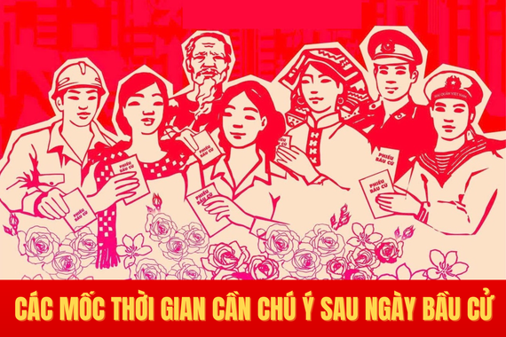 [Infographic] Các mốc thời gian cần chú ý sau ngày bầu cử