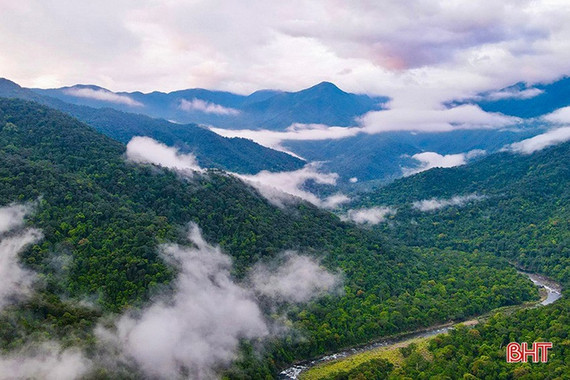 [Quiz] “Kỳ lân châu Á” được phát hiện ở Vườn Quốc gia Vũ Quang năm nào?