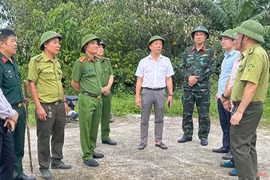 Chủ tịch UBND tỉnh trực tiếp chỉ đạo chữa cháy rừng tại Trường Lưu