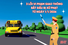 [Motion Graphics] 3 lỗi vi phạm giao thông bắt đầu bị xử phạt từ ngày 1/1/2026