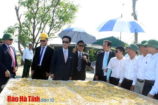 Đoàn công tác Hàn Quốc tham quan, chia sẻ kinh nghiệm xây dựng NTM ảnh 3