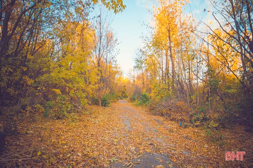 Mùa thu vàng nước Nga qua góc ảnh của du học sinh Hà Tĩnh