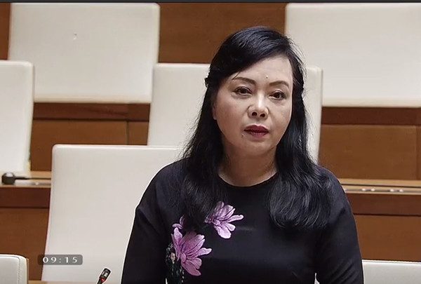 Quốc hội chất vấn các thành viên Chính phủ ảnh 3 Quốc hội chất vấn các thành viên Chính phủ