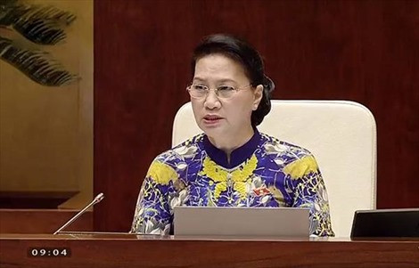 Quốc hội chất vấn các thành viên Chính phủ ảnh 5 Quốc hội chất vấn các thành viên Chính phủ