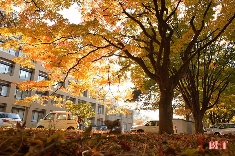 Mùa thu vàng nước Nga qua góc ảnh của du học sinh Hà Tĩnh