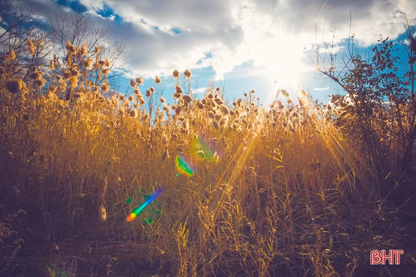 Mùa thu vàng nước Nga qua góc ảnh của du học sinh Hà Tĩnh