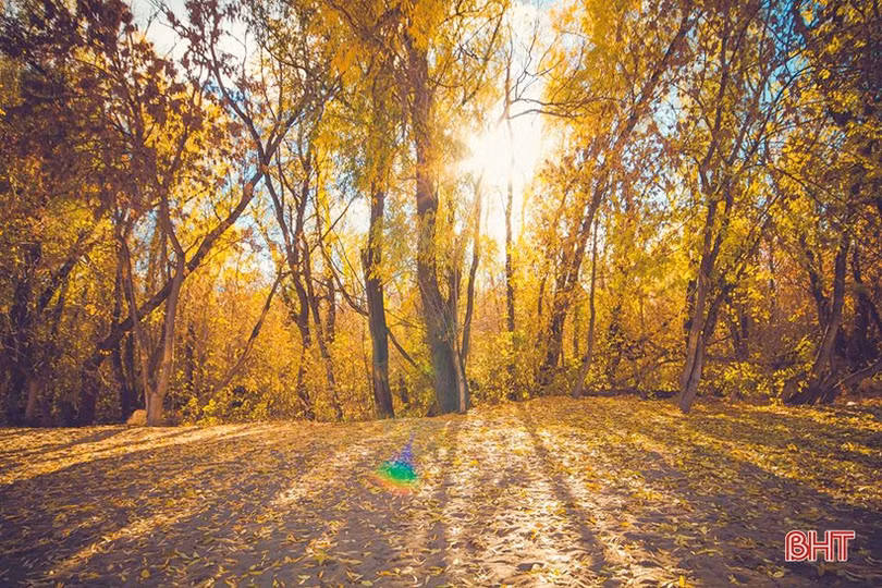 Mùa thu vàng nước Nga qua góc ảnh của du học sinh Hà Tĩnh