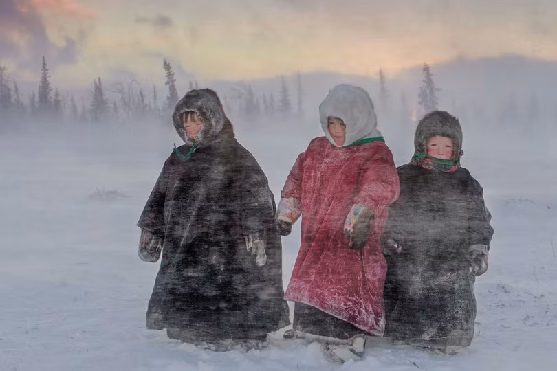 Ảnh rừng tràm Đồng Tháp đoạt giải tại Siena 2018