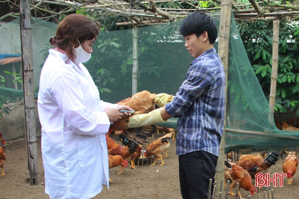 Hết thời hạn, nhiều địa phương vẫn chưa tổ chức tiêm phòng gia súc, gia cầm