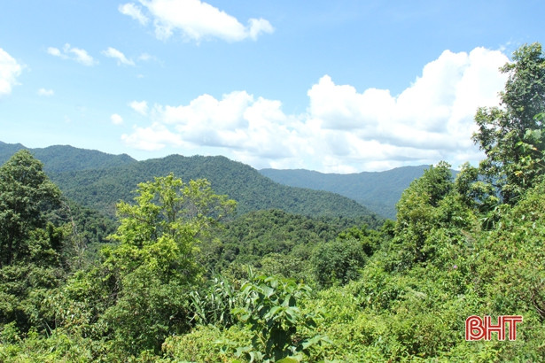 9.500 bản cam kết bảo vệ rừng ở Hương Sơn