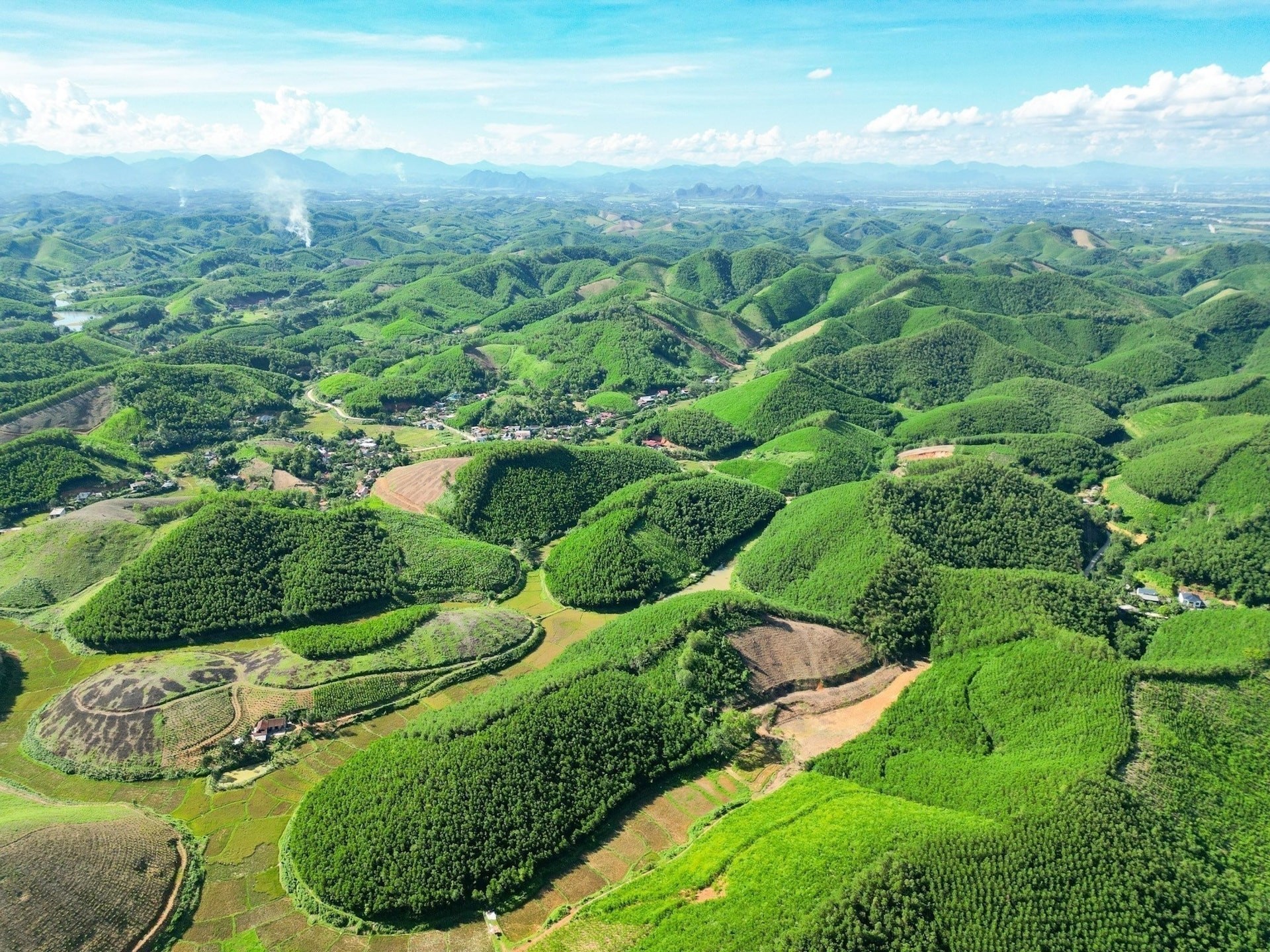 Mô hình trồng rừng keo tại huyện Triệu Sơn, tỉnh Thanh Hoá giúp hấp thụ lượng lớn CO₂, góp phần giảm phát thải khí nhà kính. (Ảnh: Lê Đông - TTXVN)