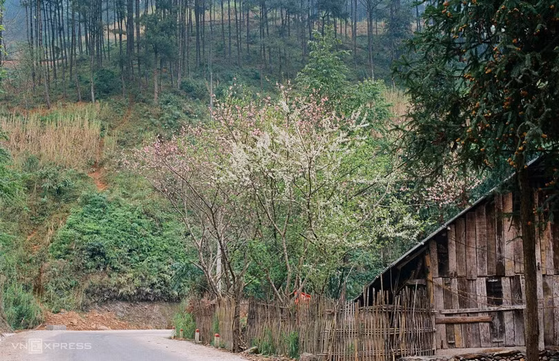Hà Giang trong mắt chàng trai người Tày