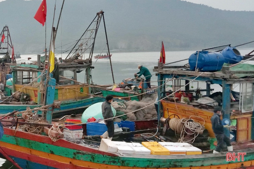 Ngư dân Hà Tĩnh tranh thủ vươn khơi những ngày biển ấm ảnh 7 Ngư dân Hà Tĩnh tranh thủ vươn khơi những ngày biển ấm