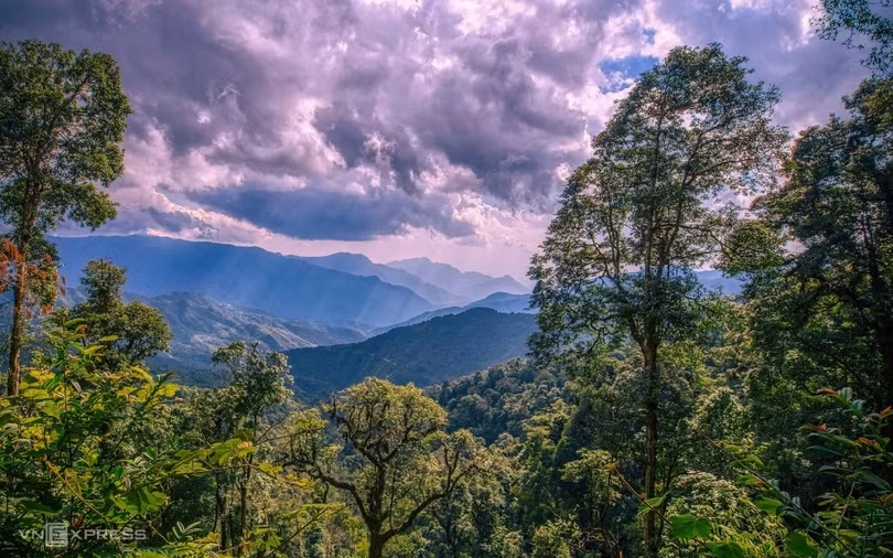 Hành trình săn ảnh chim ở Mù Cang Chải