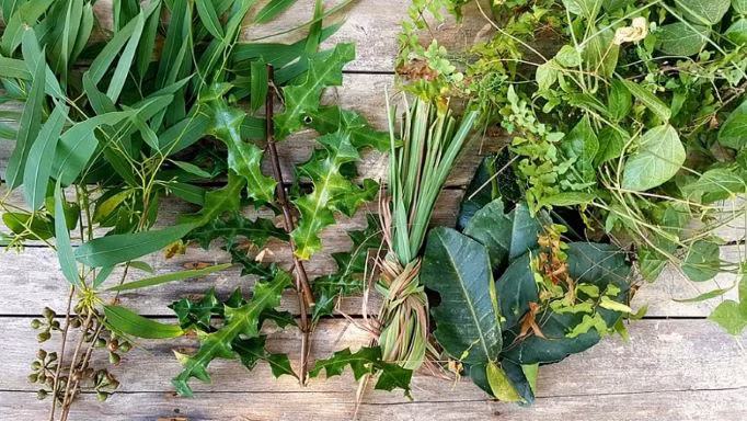 Xông thuốc mũi họng hỗ trợ điều trị COVID-19 như thế nào cho đúng?