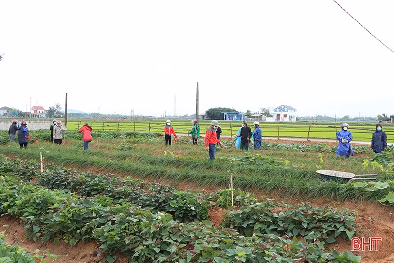 Gần 400 đoàn viên, hội viên ở Cẩm Xuyên ra quân xây dựng nông thôn mới