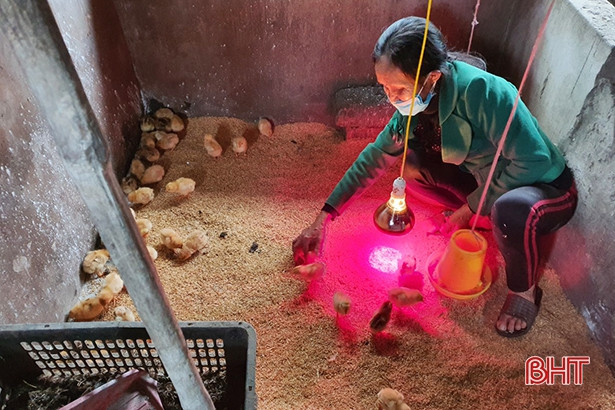 Trao 26 mô hình sinh kế cho hội viên phụ nữ khó khăn ở TX Kỳ Anh