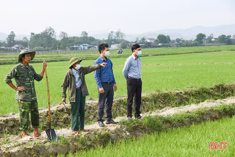 Trưởng thôn tâm huyết vận động Nhân dân dồn điền đổi thửa ở Kỳ Anh