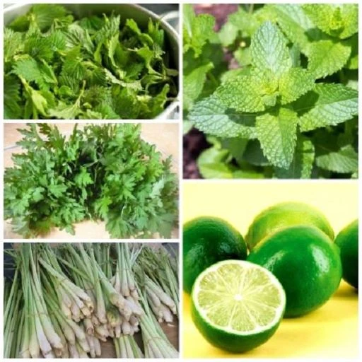 Người bệnh COVID-19 có nên xông hơi?