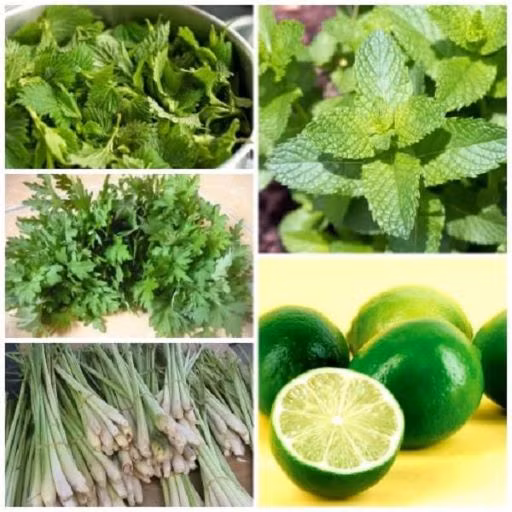 Người bệnh COVID-19 có nên xông hơi?