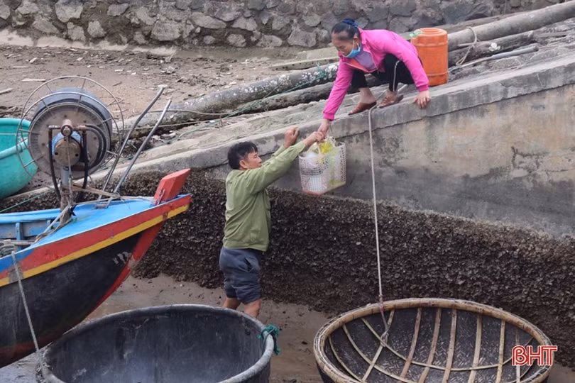 Ngư dân Hà Tĩnh tranh thủ vươn khơi những ngày biển ấm