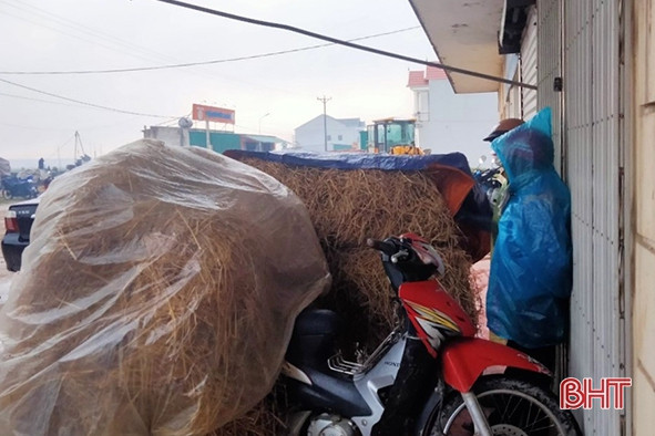 Thời tiết mưa rét, nông dân Can Lộc có thêm thu nhập từ bán rơm