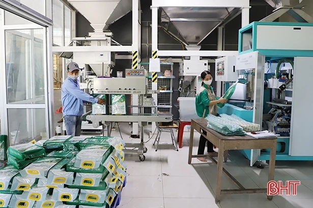 426 sản phẩm được bày bán trên sàn thương mại điện tử Hà Tĩnh