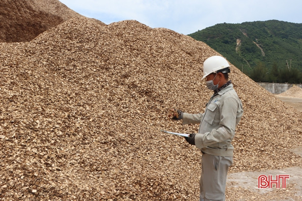 Hà Tĩnh: Xuất khẩu dăm gỗ đạt hơn 18,7 triệu USD