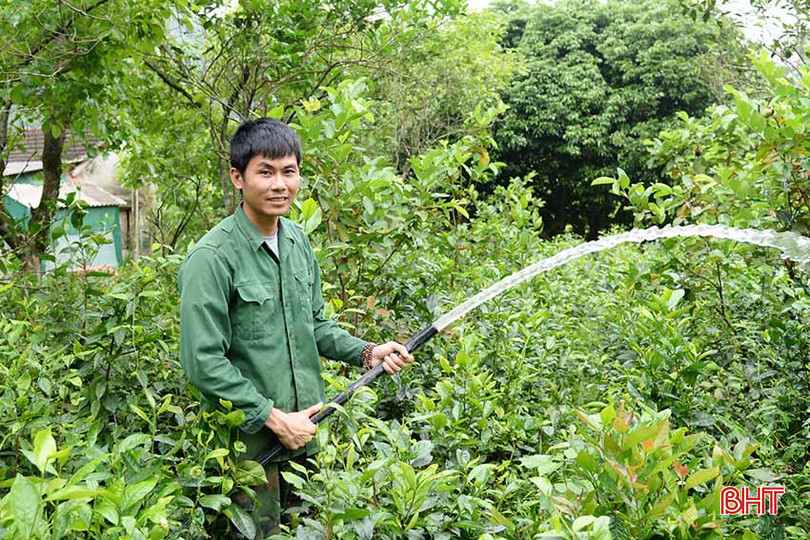 Anh Thái Hữu Quốc - chủ trang trại tổng hợp hơn 3 ha. i1.jpg